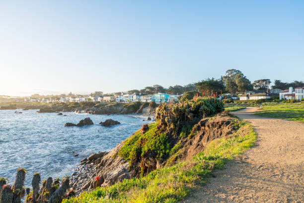 istock a sand trail along the coastline,California 1029135462
