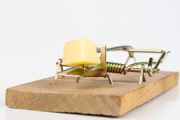 istock Mousetrap on a white table. Trap with yellow cheese as a bait. White background. 1029141574
