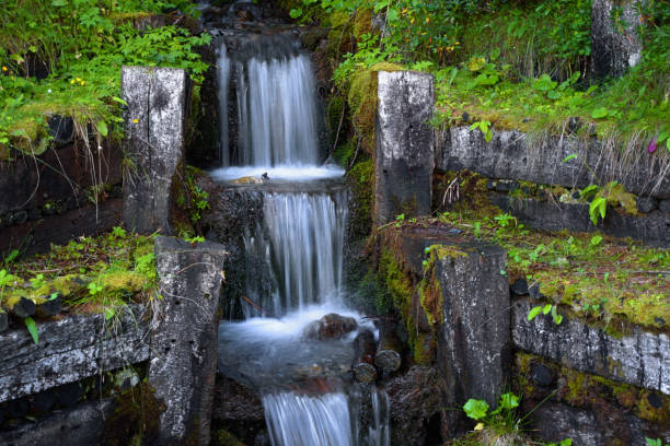 istock Closeup of water cascade deep in the forest 1029147446