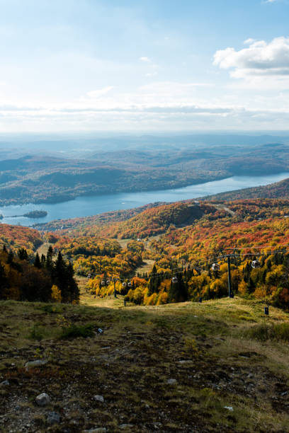 istock autumn leaves at Mont-Tremblant in Canada 1029150450