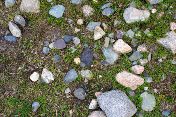 istock Old stone wall with green ivy texture 1029152416