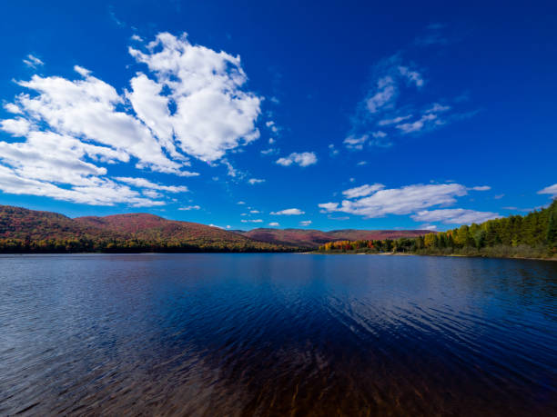 istock autumn leaves seen from the National Park 1029158954