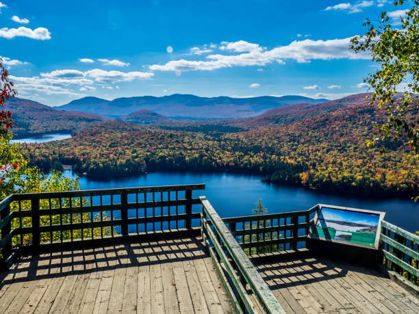 istock autumn leaves seen from the National Park 1029161184