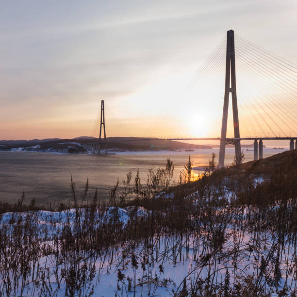 istock Winter sunset view with fresh snow and long cable-stayed bridge in Vladivostok 1029164414