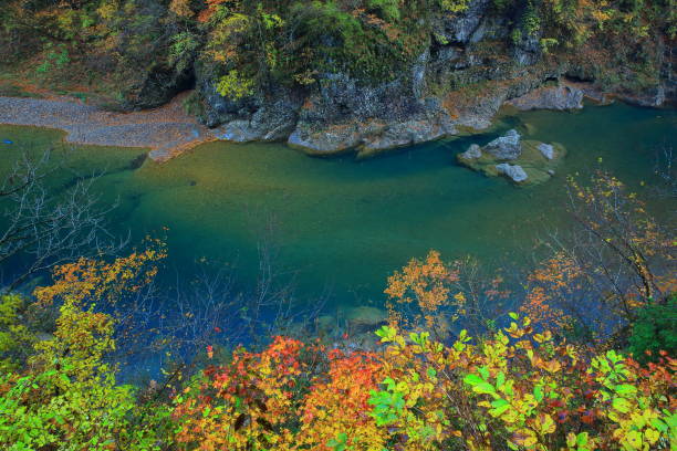 istock Autumn leaves valley 1029164516