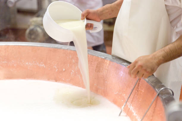 istock Parmesan cheese prduction process in Bologna Italy 1029166728