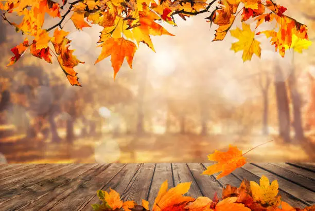 Photo of Wooden table with orange leaves autumn background