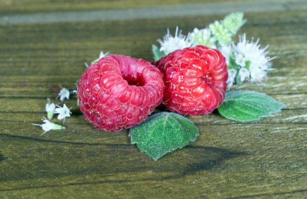 fresh ripe raspberries close-up on wooden table stock photo