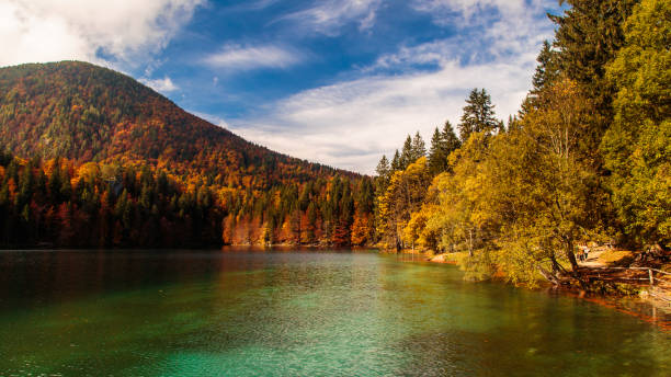 istock Autumn foliage at the alpine lake 1029173512