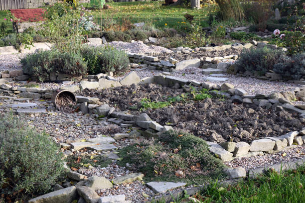 istock Country garden by autumn 1029179634