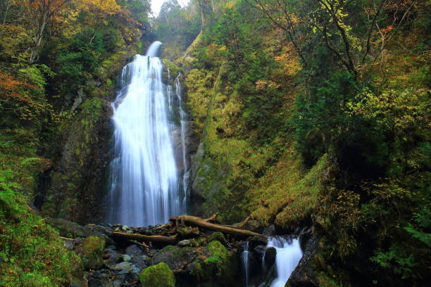 istock Autumn leaves valley 1029182274