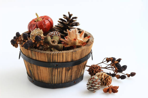 istock Still life image of autumn 1029182524