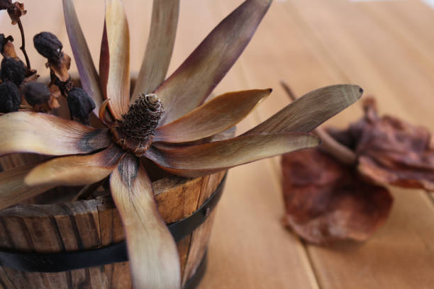 istock Still life image of autumn 1029182532