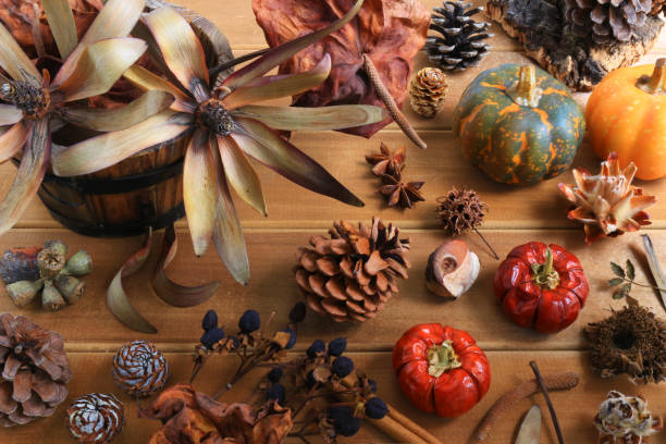 Still life image of autumn