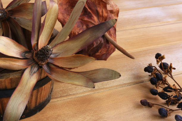 Still life image of autumn