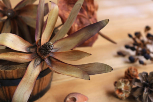 istock Still life image of autumn 1029182556
