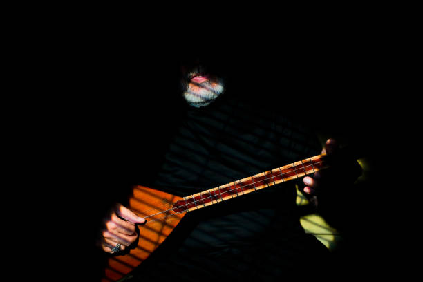 istock Musician at indoor 1029185398