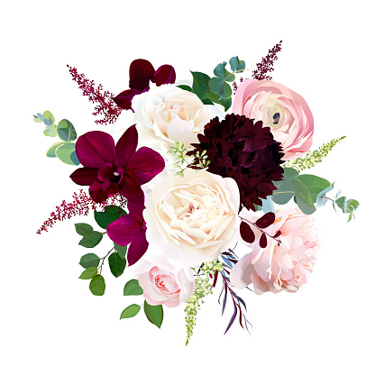 Luxury fall flowers vector bouquet. Dark orchid, garden rose, burgundy red dahlia, ranunculus, astilbe, agonis, seeded eucalyptus and greenery. Autumn wedding bunch of flowers. Isolated and editable.