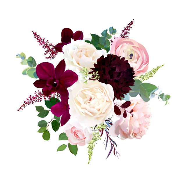 Luxury fall flowers vector bouquet. Luxury fall flowers vector bouquet. Dark orchid, garden rose, burgundy red dahlia, ranunculus, astilbe, agonis, seeded eucalyptus and greenery. Autumn wedding bunch of flowers. Isolated and editable. fall flower bouquet stock illustrations