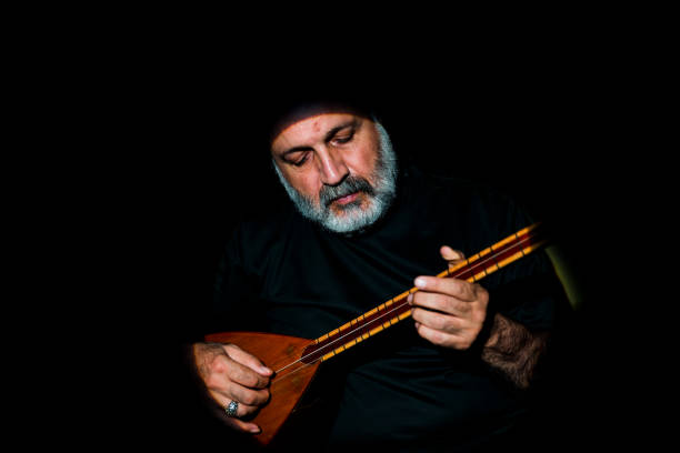 istock Musician at indoor 1029185790