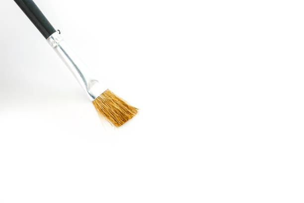 istock paint brush set tool art  on white background 1029185826