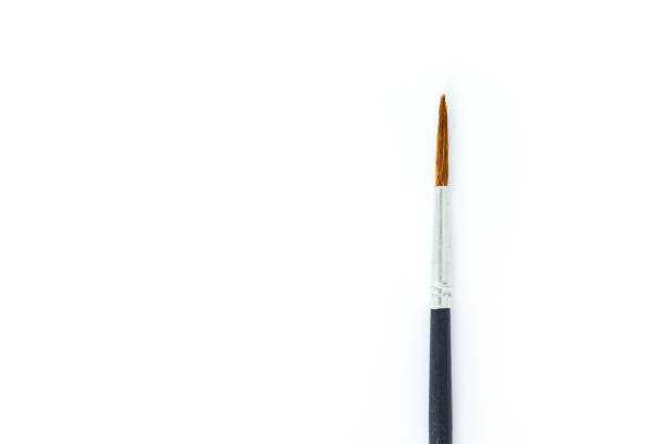 istock paint brush set tool art  on white background 1029185842