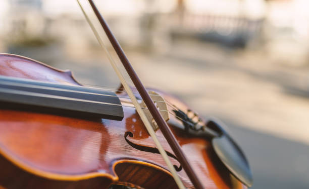 istock Detail of violin. 1029188070