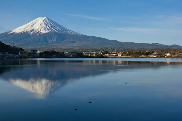 Peaceful Mount Fuji Scenery In The Morning