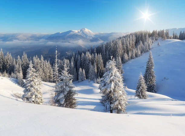 istock Winter day in the mountains 1029194340