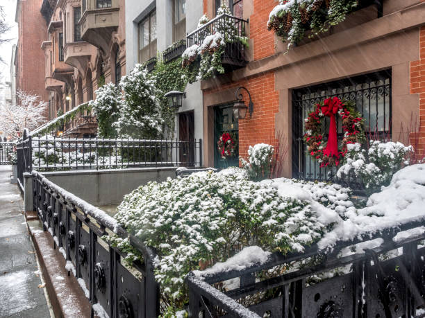 istock Brownstone or townhouse entrance 1029206858