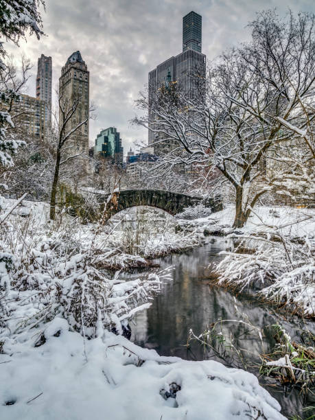 istock Central Park, New York City 1029207006