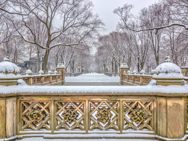 istock Central Park, New York City 1029207030