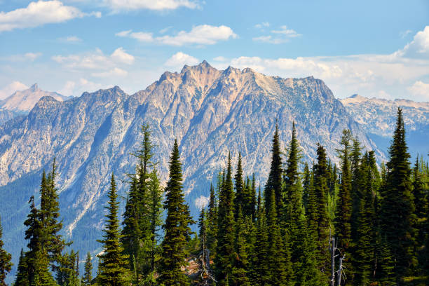 heather-maple pass loop trail - north cascades national park washington state northern cascade range mountain pass stock-fotos und bilder