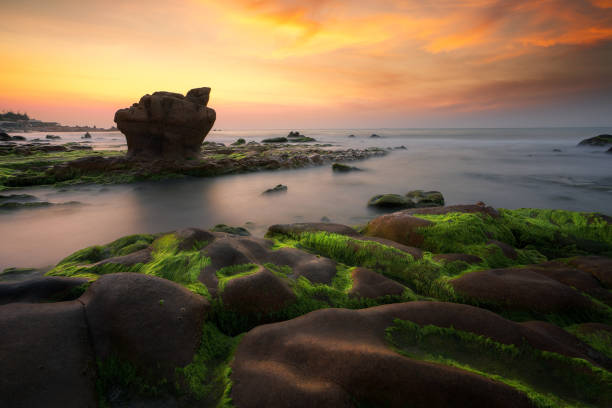 istock Da Nang Beach is a beautiful beach in Danang city 1029217696