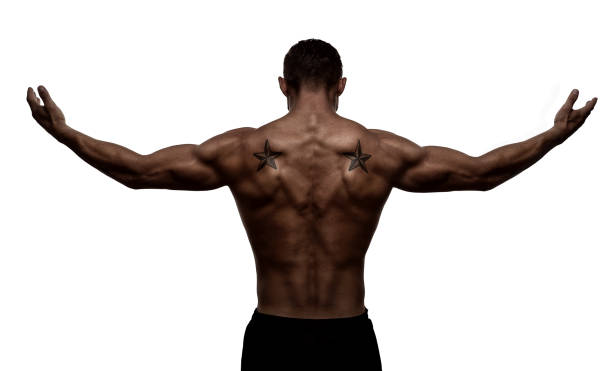вид сзади, силуэт здорового молодого альтлета - flexing muscles men human muscle human arm стоковые фото и изображения