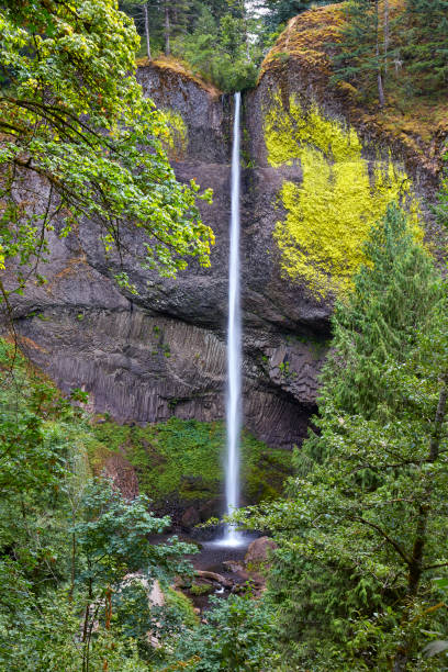 istock Latourell Falls, Oregon, USA 1029218234