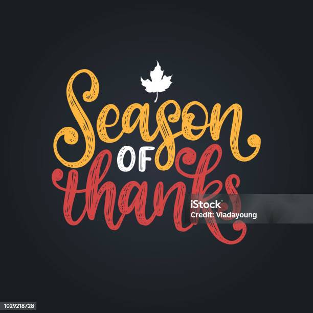 Season Of Thankshand Lettering Vector Illustration With Maple Leaf For Thanksgiving Invitationgreeting Card Template Stock Illustration - Download Image Now
