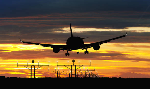 istock Airplane landing on sunset sky 1029221904