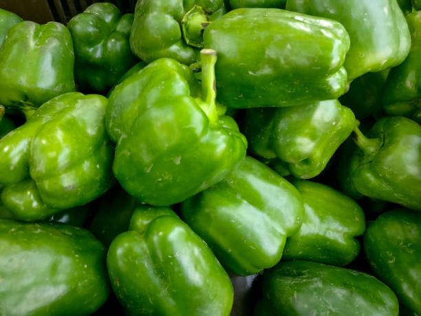 istock flat shot of capsicum laid out 1029224508