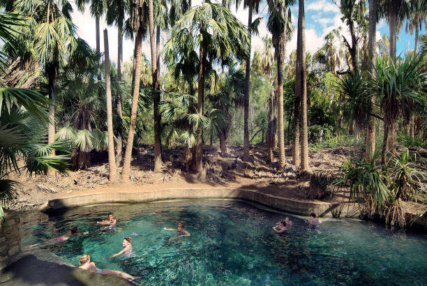 Australia, NT, Mataranka Mataranka, NT, Australia - April 21, 2012: Unidentified people enjoy the warm water of the public and free cost-less natural thermal pool, the small town is located south of Katherine on top end of Northern Territory is renowned for its thermal pool thermal pool stock pictures, royalty-free photos & images