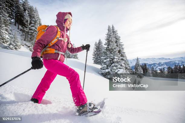 Pretty Young Woman Snowshoeing In High Mountains Stock Photo - Download Image Now - Snowshoe, Snowshoeing, Hiking
