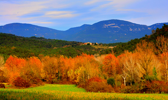 typical landscape of the Garrotxa province of Girona in Catalonia