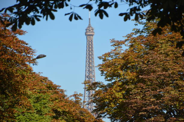 istock The Eiffel Tower view through tree leaves. Paris, France. 1029242988