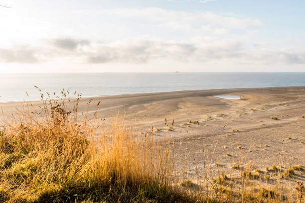 サフォーク ローストフトで砂丘とビーチ - suffolk east anglia rural scene non urban scene ストックフォトと画像