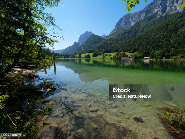 Seehintersee Deutschland An Einem Sommertag Stockfoto und mehr Bilder von Alpen - Alpen, Baum, Bayern