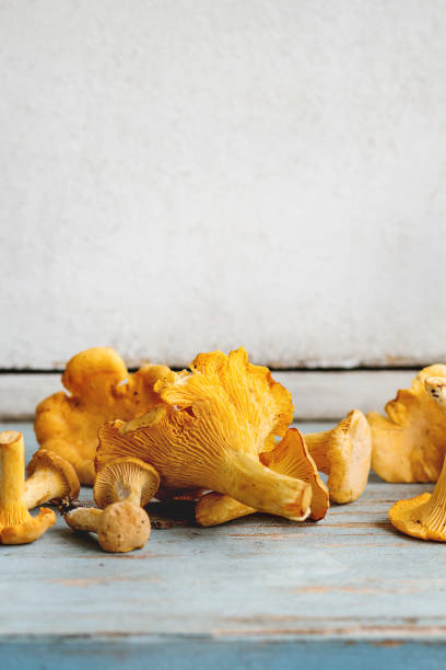 istock Raw uncooked Chanterelles mushrooms 1029248712