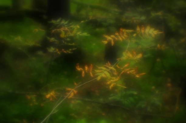 istock Branch of a forest with bright leaves 1029248732