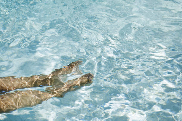 istock Enjoying Sunlight in swimming pool 1029248852