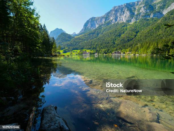 Seehintersee Deutschland An Einem Sommertag Stockfoto und mehr Bilder von Alpen - Alpen, Baum, Bayern