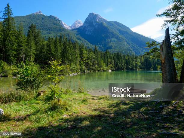 Seehintersee Deutschland An Einem Sommertag Stockfoto und mehr Bilder von Alpen - Alpen, Baum, Bayern